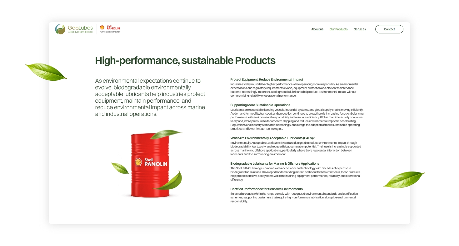 Company short presentation on homepage WEB DESIGN AND DEVELOPMENT