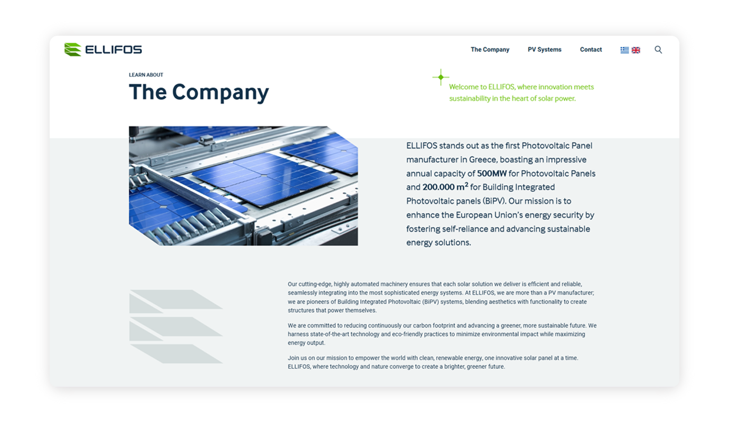 The Company  WEB DESIGN AND DEVELOPMENT